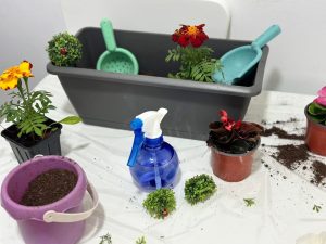 Asociația Psiho Special: parteneriat părinte–specialist cu Karla Ana Maria Grigore și Marius Cătălin Grigore